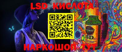 прущие грибы Вышний Волочёк