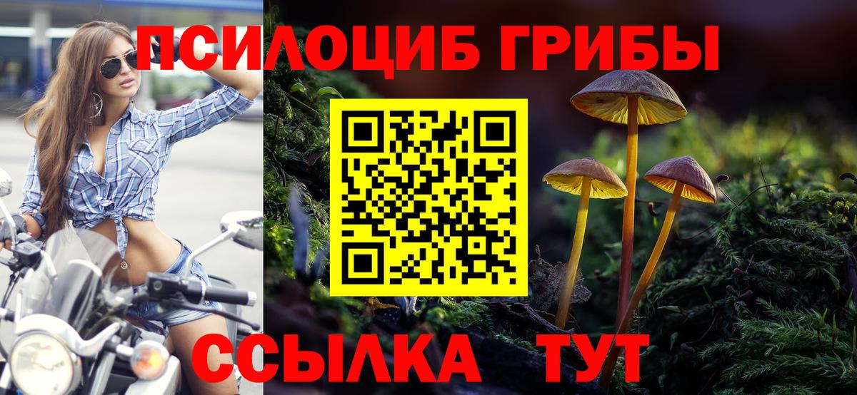 Псилоцибиновые грибы GOLDEN TEACHER  купить наркотики цена  Самара  Вход с VPN 
