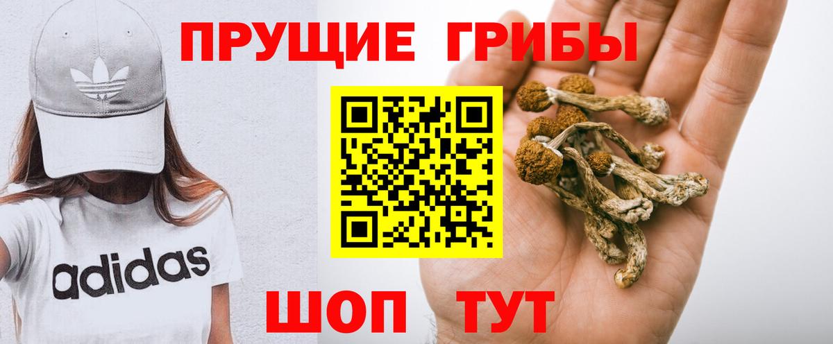 Галлюциногенные грибы Psilocybe Самара